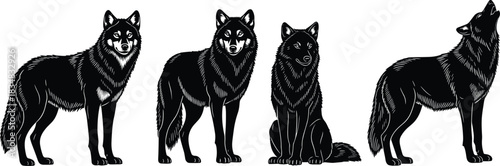 Wolf silhouette illustration, four poses, black and white contrast, howling wolf, sitting posture, standing stance, wild animal art, fur texture, natural behavior, wildlife design