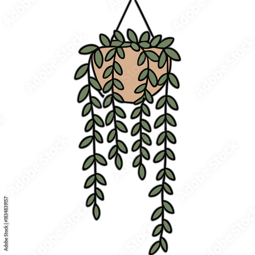 Hanging Potted Plant With Green Trailing Vines Against A Simple Background