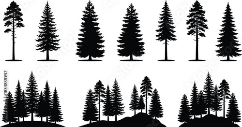 “Collection of detailed pine and fir tree silhouettes featuring individual evergreens and forest landscape scenes for nature, wilderness, and outdoor vector illustrations.”