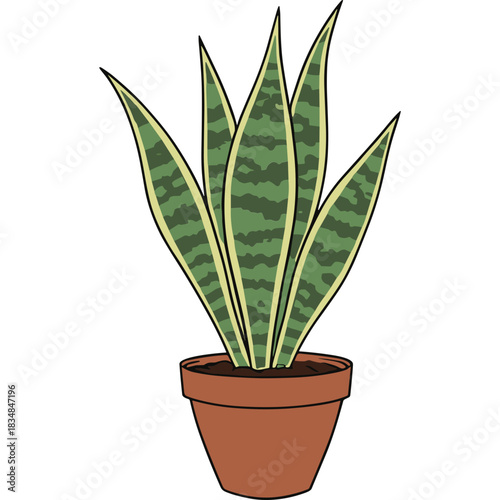 Illustration of a Snake Plant in a Terracotta Pot Against a Black Background