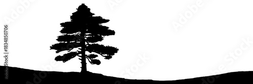 A single tree silhouette standing on a gentle hill, creating a minimal, peaceful landscape useful for nature, solitude, and background themes.