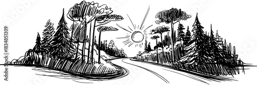 A winding road cutting through a forest while the sun shines brightly overhead, creating a calm natural scene.