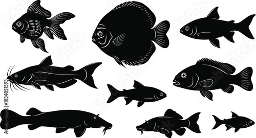 Black silhouettes of various freshwater aquarium and pond fish, including goldfish, discus, carp, catfish, and loach, isolated vector illustration set on a white background.
