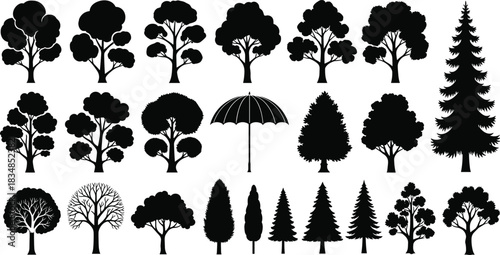 PrinHere is a title and a comprehensive list of keywords for the provided image, optimized for Adobe Stock vector illustration content SEO.t