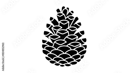 whisk_mi9ryy_via_RJ_Whisk_Auto.eps