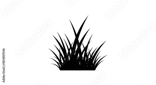 Tall grass silhouette with transparent background