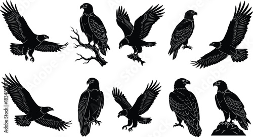 Set of majestic eagle silhouettes in flight, perched, and landing poses for wildlife, nature, freedom, and patriotic design themes