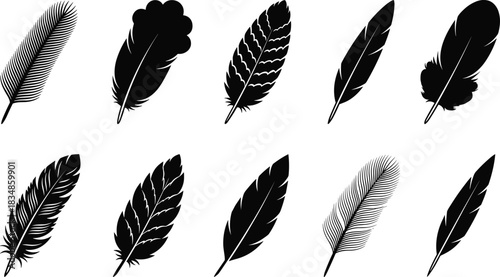 Silhouette collection of feather designs showcasing diverse shapes, textures, and styles for nature, art, fashion, and decorative themes