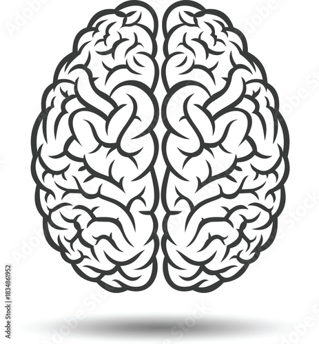 Stylized black and white illustration of a human brain