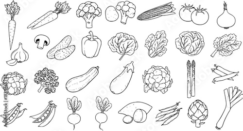 Black and White Vegetable Assortment Outline Illustration
