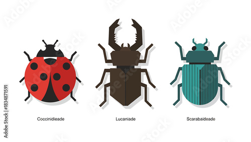 Colorful Beetles Illustration A Set of Insects including a Ladybug, Stag Beetle, and Scarab Beetle
