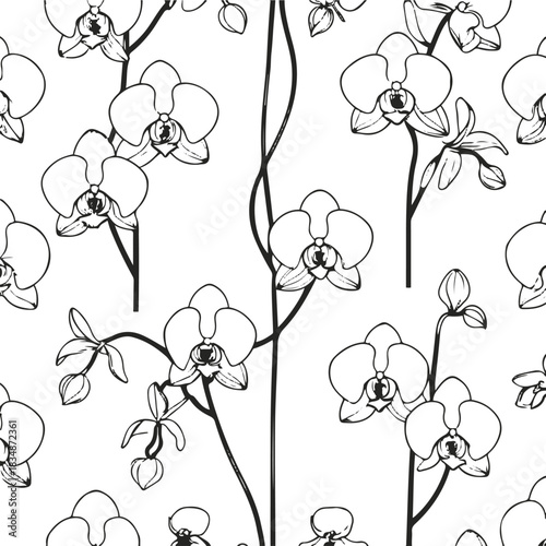Elegant orchid flowers and long stems arranged in a seamless line art pattern, thin outlines, minimal style, white background
