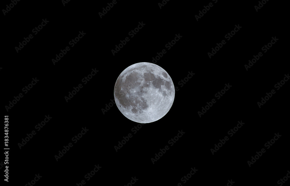 Obraz premium A highly detailed shot of the full moon with cool tones, clearly showing its grey craters and surface texture against the pure black backdrop of the night sky. 