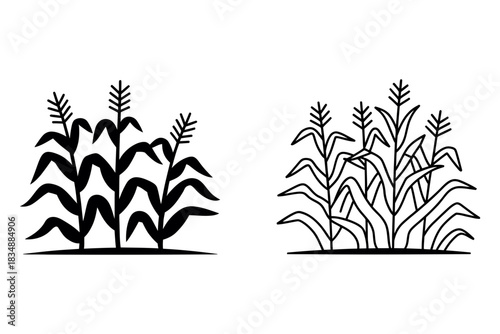 Two stylized line art illustrations of corn stalks, one filled black silhouette, the other an outline, representing agriculture and harvest.