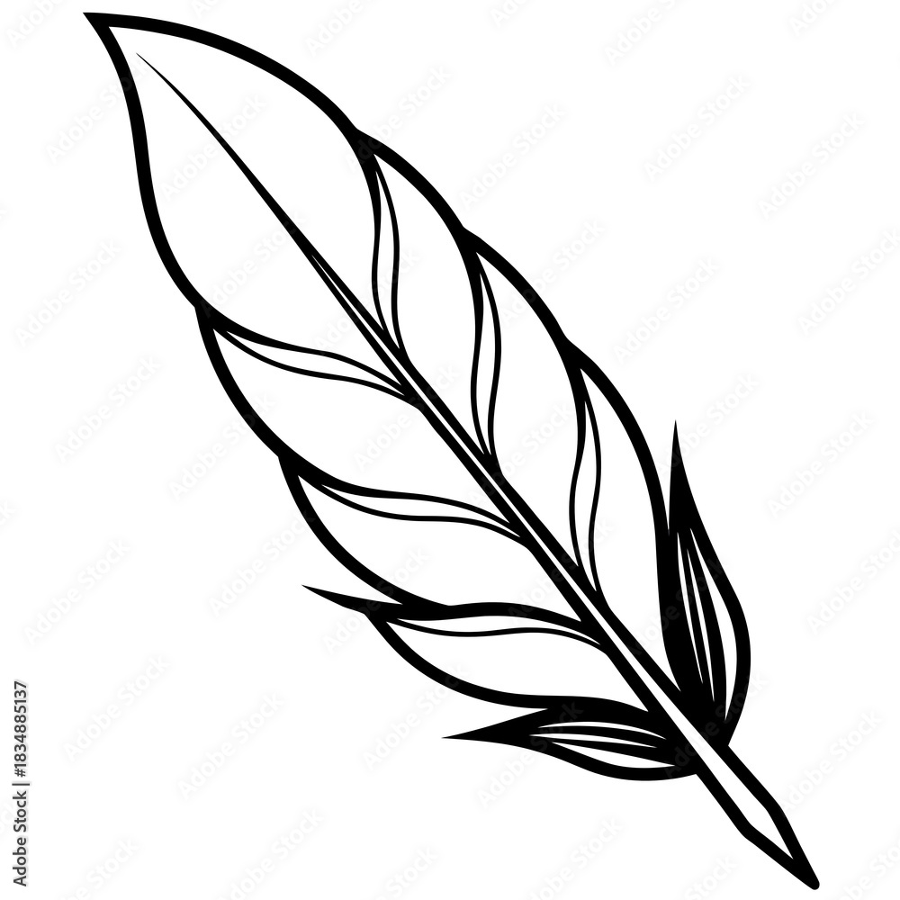 Obraz premium feather vector illustration