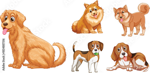 Group of dog breeds on white background