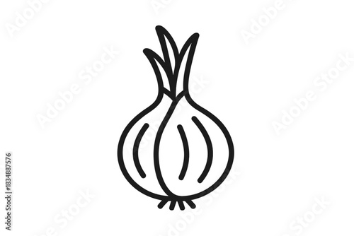 Fresh whole onion bulb vegetable with roots and emerging green shoots, black and white