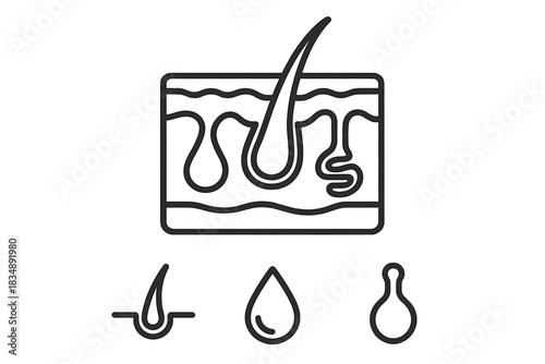Anatomy of human skin layers and hair follicle structure with related cosmetic icons