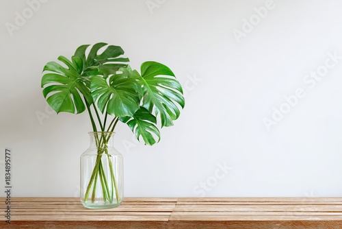 Large Monstera plant in a glass vase on a wooden surface against a white wall