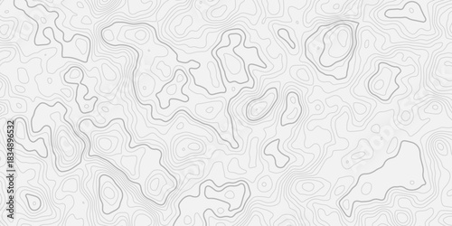 Elegant Black on White Geographic Contour Line Ornament with Modern Abstract Terrain Style