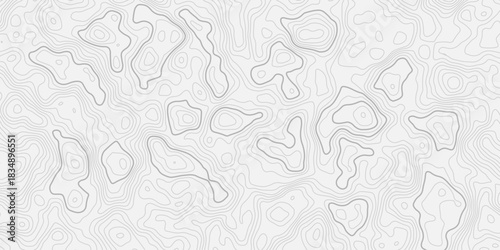 Highly Detailed Abstract Terrain Height Map with Smooth Flowing Geographic Contour Lines