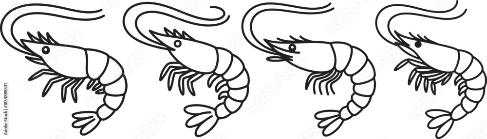Fototapeta premium Set of Shrimp Line Art Illustration, Coloring Book Page Line Art Drawing