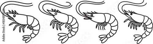 Set of Shrimp Line Art Illustration, Coloring Book Page Line Art Drawing