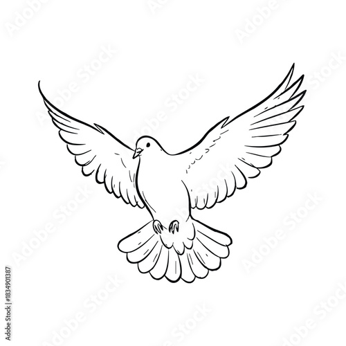 Hand Drawn Dove with Wings Spread b4f29d3ce53331494f74d66ea1829ce4dr