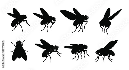 A collection of black silhouette illustrations depicting several common house flies