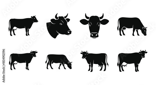 A collection of black silhouette illustrations depicting various cow poses and faces