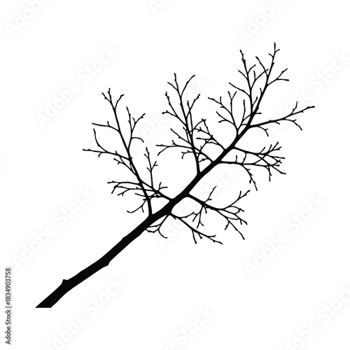 Silhouette of a bare tree branch 610b613bb98578a9550409376a1e413adr