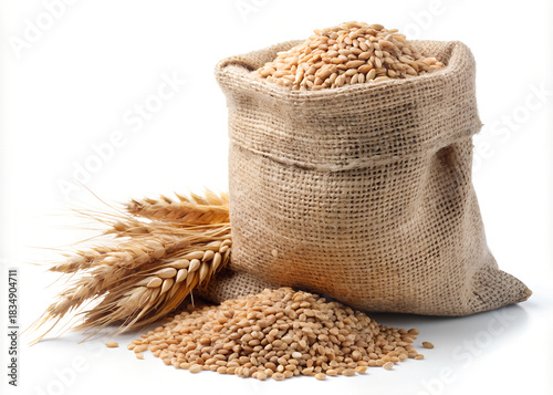 A burlap sack overflowing with golden wheat grains alongside a small pile of loose kernels and wheat stalks isolated on white background