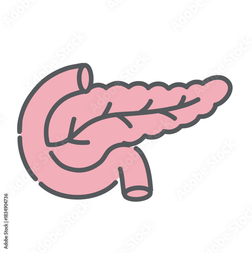 膵臓（すいぞう）のイラスト