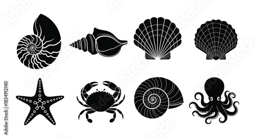 Black silhouettes of marine life shells octopus crab and starfish
