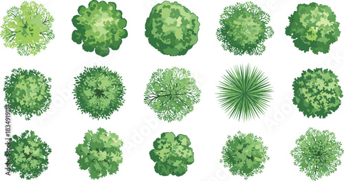 Diverse Vector Collection of Top View Trees, Shrubs, and Plants for Architectural Site Plan Drawings, Landscape Design, Mapping, and Ecology Projects, Professional CAD Elements.