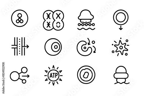 Icons cellular signaling action vector nucleus icon membrane energy symbol apoptosis processes