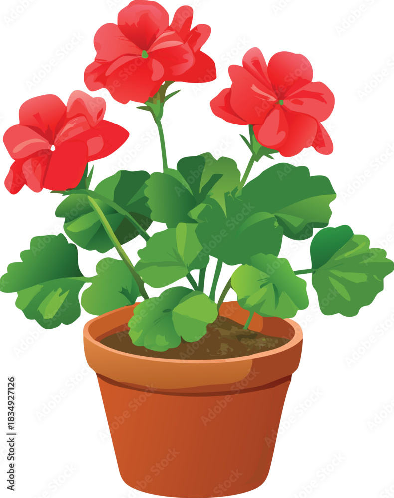 Fototapeta premium a vibrant red geranium plant displayed in a simple terracotta flowerpot high quality