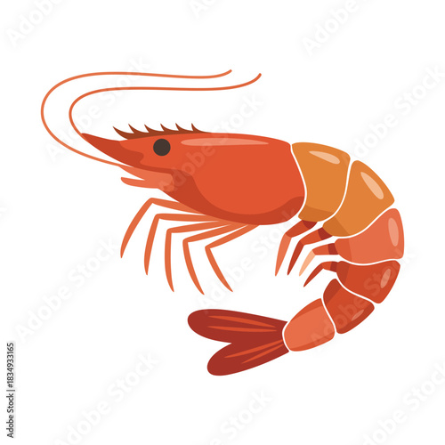 shrimp isolated on white background