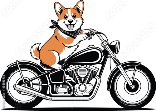 Cool Vector Illustration of a Happy Pembroke Welsh Corgi Dog with a Bandana Riding a Vintage Chopper Motorcycle, Ideal for Pet Lovers, Biker, and Animal T-Shirt Design Concepts.