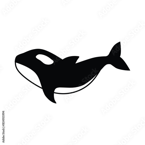 killer whale orca silhouette illustration