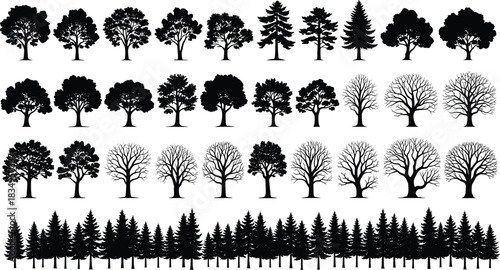 Tree silhouette set, black vector illustration, forest shapes, seasonal foliage, coniferous and deciduous trees, nature design, botanical art