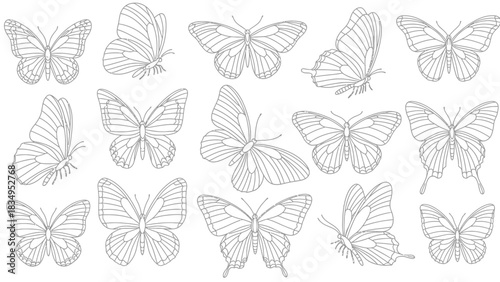 Elegant butterfly outline pattern for coloring books, fashion, textile, and decoration