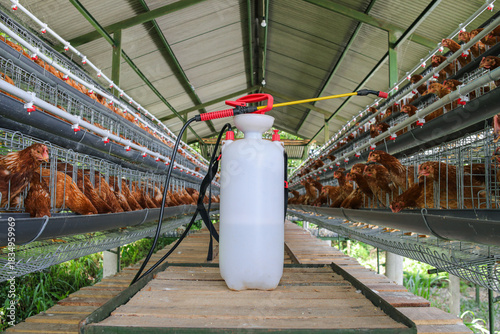 Effective Sanitation In poultry Farms With Chickens in Cages and Sprayers for Disease Control