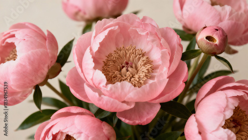 Pink Peony Bouquet Still Life Photography
