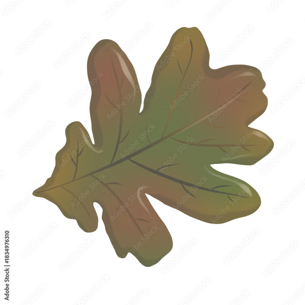 Obraz premium Autmn leaf