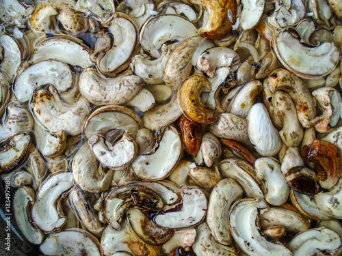 Photos Cashews ready to be cooked