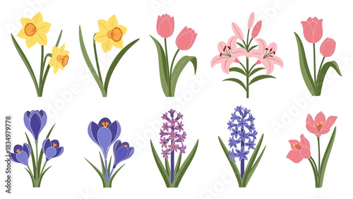 Assortment of stylized spring flowers including daffodils, tulips, lilies, and hyacinths