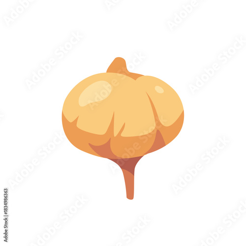 Brown jicama root crunchy salad vegetable