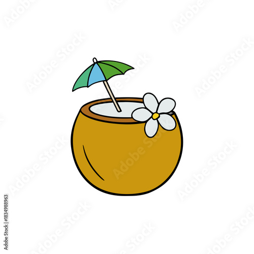 vector illustration of a coconut