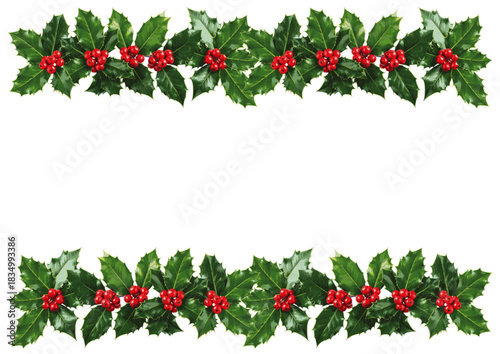 christmas holly frame